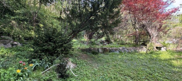 Дом с 2 комнатами в Альтенмаркт ан дер Тристинг, Австрия № 2489 19