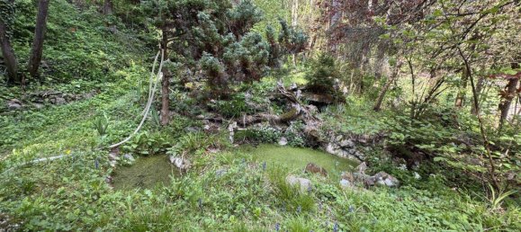 Дом с 2 комнатами в Альтенмаркт ан дер Тристинг, Австрия № 2489 18