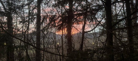 Дом с 2 комнатами в Альтенмаркт ан дер Тристинг, Австрия № 2489 43