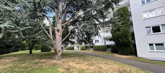 2 Schlafzimmer Wohnung in Hochtaunuskreis, Germany, Nr. 310722 15