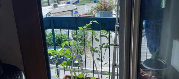 3 rooms Apartment in Turin, Italy No. 15639 7