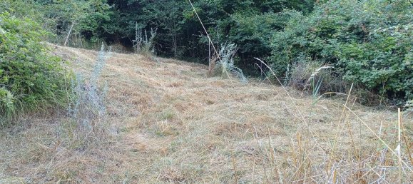 2 bedrooms House in Alpes-Maritimes, France No. 331823 17