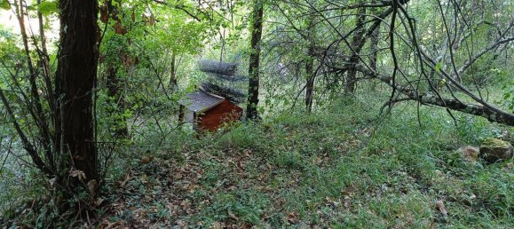 2 bedrooms House in Alpes-Maritimes, France No. 331823 20