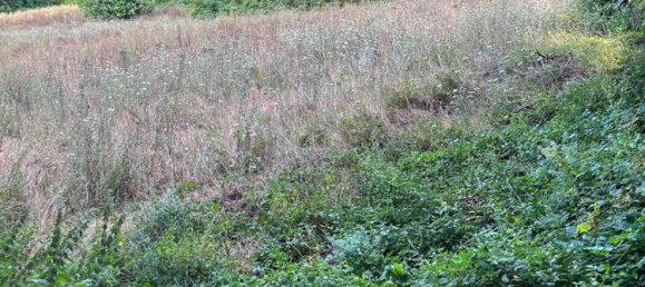 7374m² Land in Marzano Appio, Italy No. 255420 7