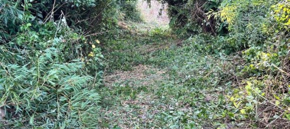 7374m² Land in Marzano Appio, Italy No. 255420 8