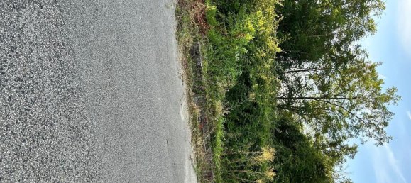 7374m² Land in Marzano Appio, Italy No. 255420 4