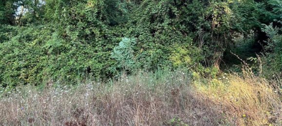 7374m² Land in Marzano Appio, Italy No. 255420 5