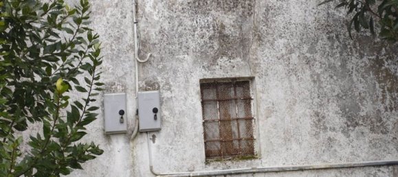 10 rooms Villa in Piacenza d'Adige, Italy No. 198929 12