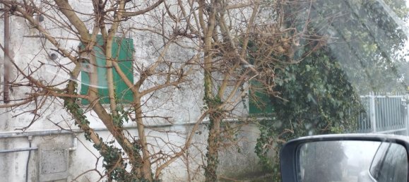 10 rooms Villa in Piacenza d'Adige, Italy No. 198929 10