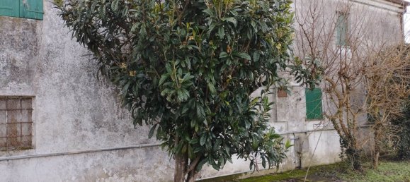 10 rooms Villa in Piacenza d'Adige, Italy No. 198929 3