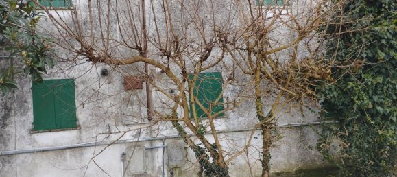 10 rooms Villa in Piacenza d'Adige, Italy No. 198929 23