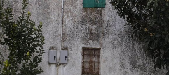 10 rooms Villa in Piacenza d'Adige, Italy No. 198929 24