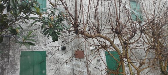 10 rooms Villa in Piacenza d'Adige, Italy No. 198929 11