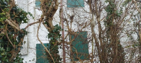 10 rooms Villa in Piacenza d'Adige, Italy No. 198929 13