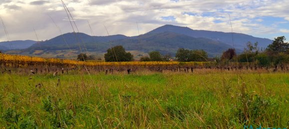 Terreno em Bergheim, France N.º 224043 5