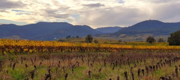 Terreno em Bergheim, France N.º 224043 8