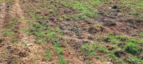 Grundstück in Canicattini Bagni, Italy 60000m², Nr. 260807 13