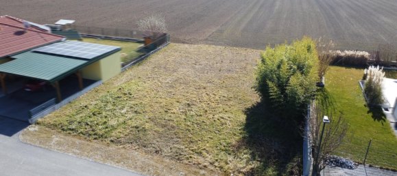  Land in Herzogenburg, Austria No. 243102 5