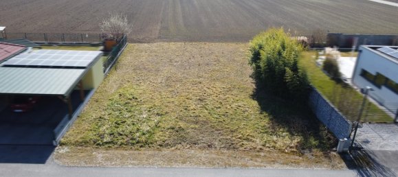  Land in Herzogenburg, Austria No. 243102 2