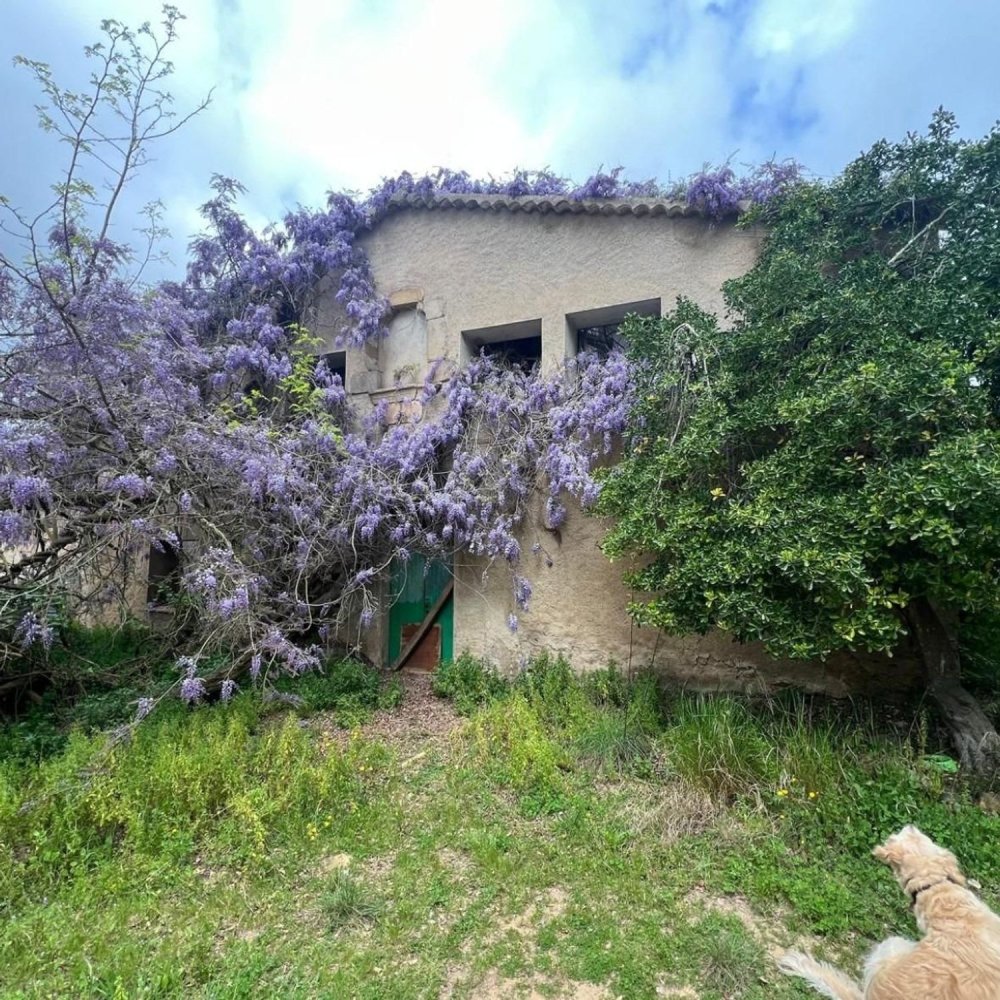Casa T4 em Tossa de Mar, Spain N.º 212926