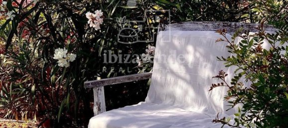 6 bedrooms Castles in Ibiza, Spain No. 143287 30