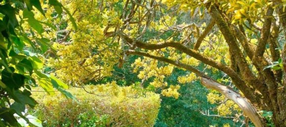 Casa T5 em Sintra, Portugal N.º 120646 23