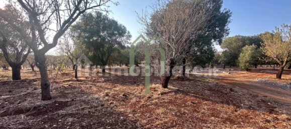 Terrain à Carovigno, Italy 11484m² No. 176719 14