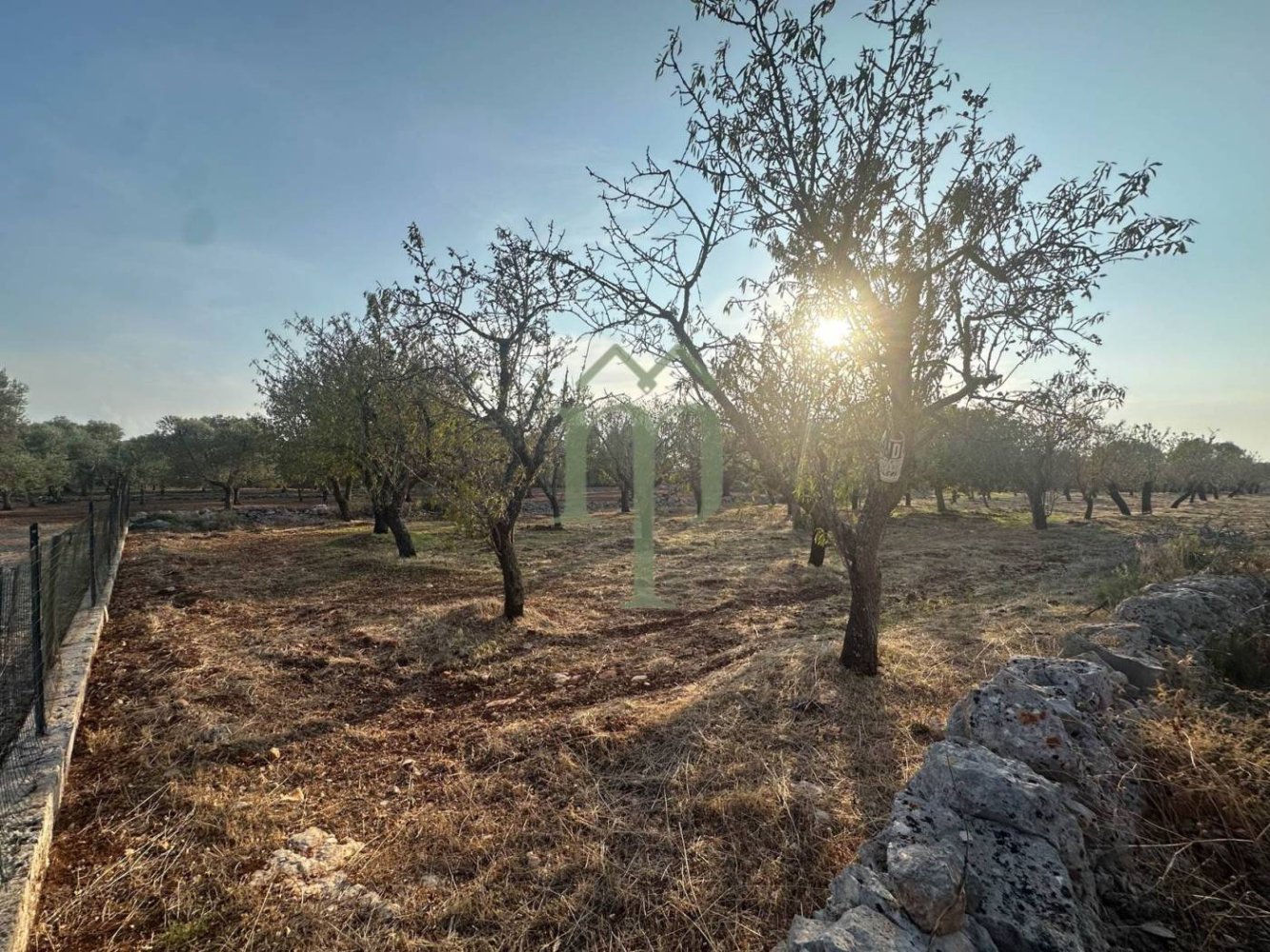 Terrain à Carovigno, Italy 11484m² No. 176719