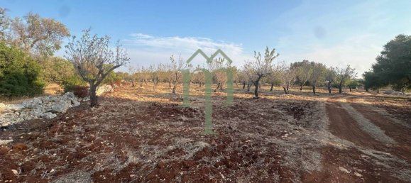 Terrain à Carovigno, Italy 11484m² No. 176719 13