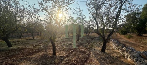 Terrain à Carovigno, Italy 11484m² No. 176719 12