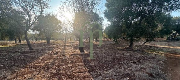 Terrain à Carovigno, Italy 11484m² No. 176719 10