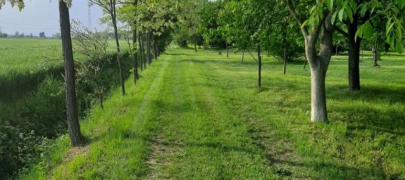 3 bedrooms House in San Biagio di Callalta, Italy No. 225594 15