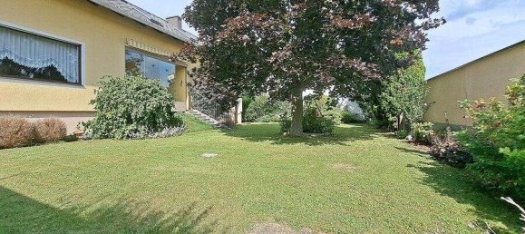 7غرفة منزل في Katzelsdorf, Austria رقم 246072 32