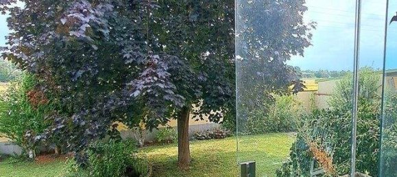 7غرفة منزل في Katzelsdorf, Austria رقم 246072 44