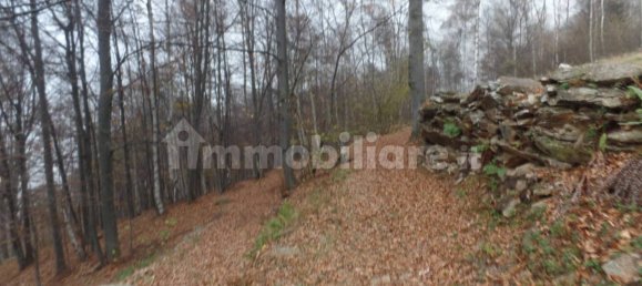 2 bedrooms House in Brossasco, Italy No. 77604 5