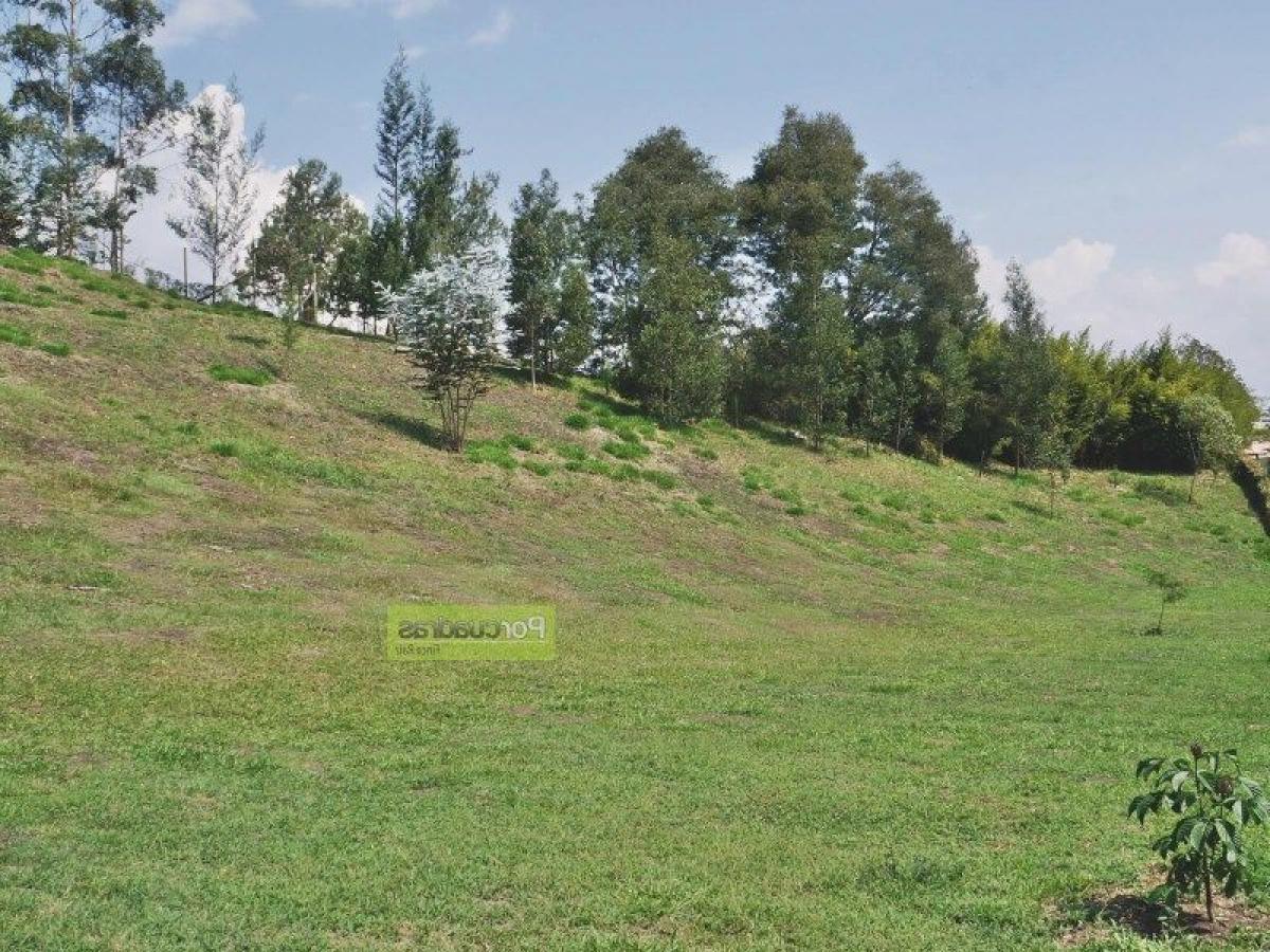 Terreno em Antioquia, Colombia N.º 835