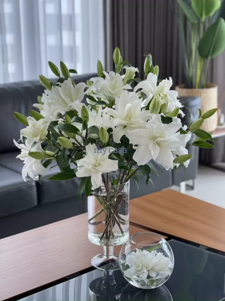 3 bedrooms Apartment in Thu Duc, Vietnam No. 8165