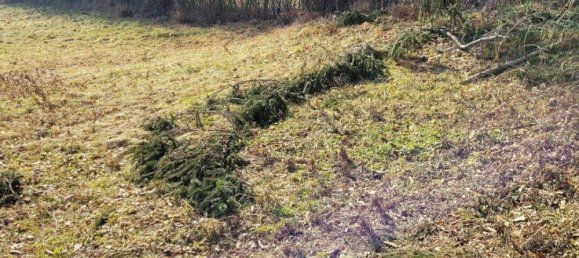 170m² Land in Pressbaum, Austria No. 161647 3