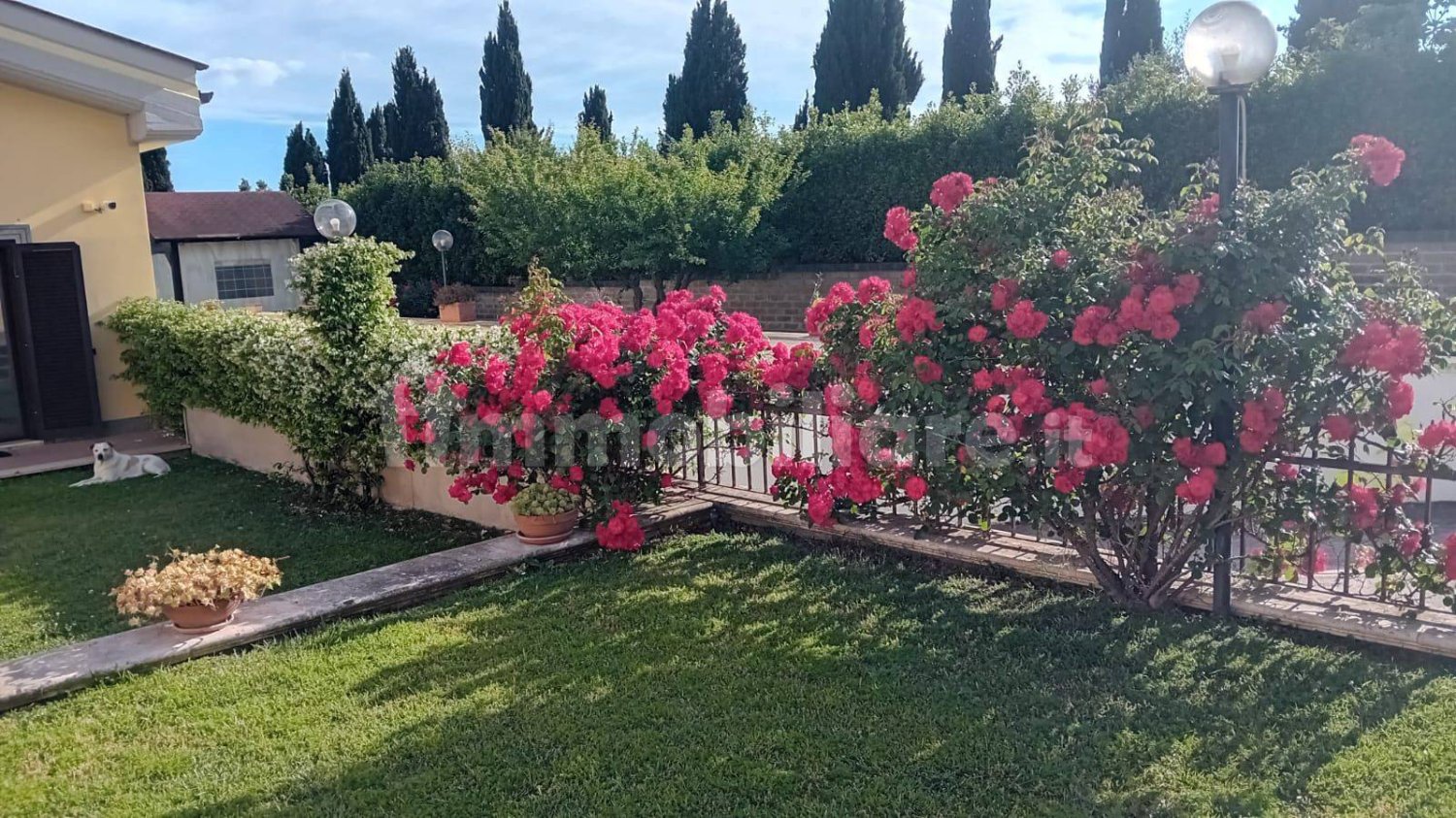 4 bedrooms Villa in Marino, Italy No. 315141