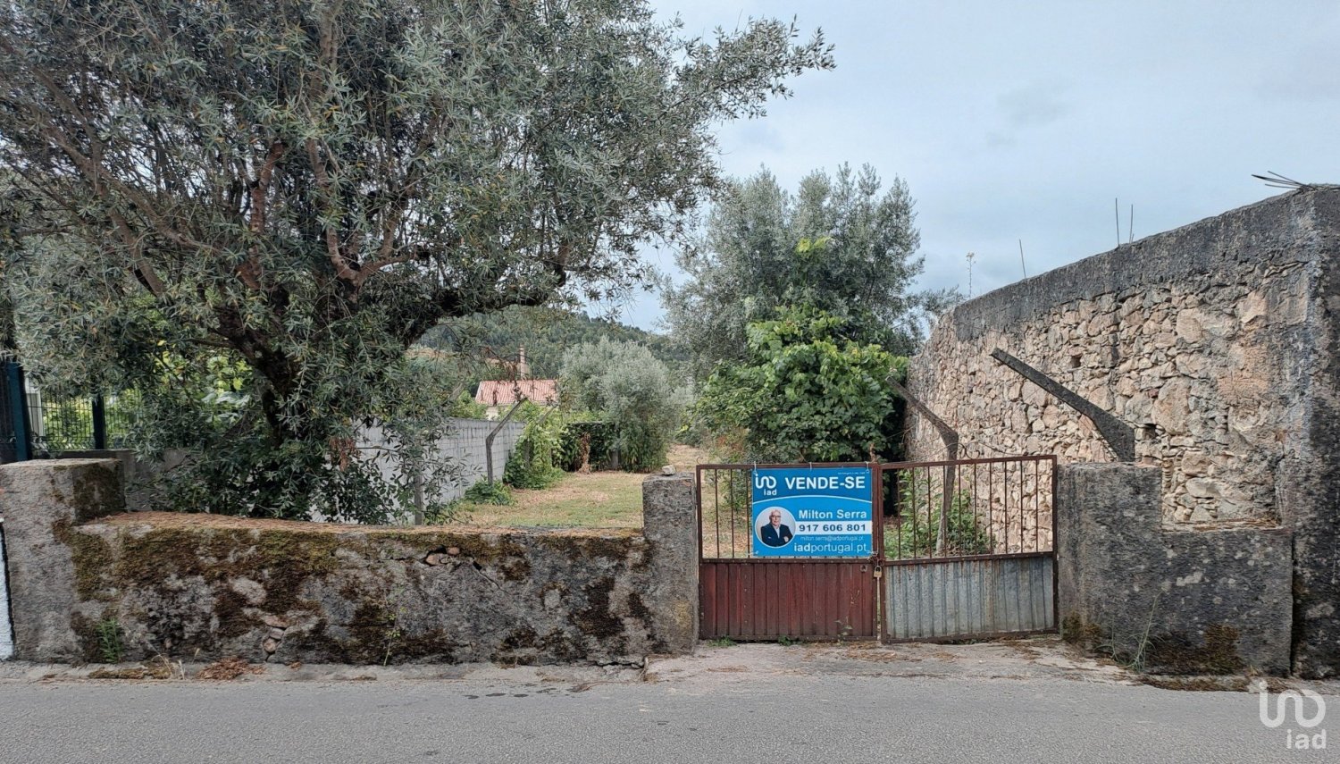 Terrain à Vila Nova de Poiares, Portugal No. 284298