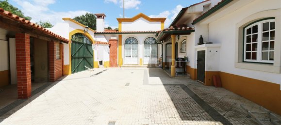 8 Schlafzimmer Haus in Torres Novas, Portugal, Nr. 49910 19
