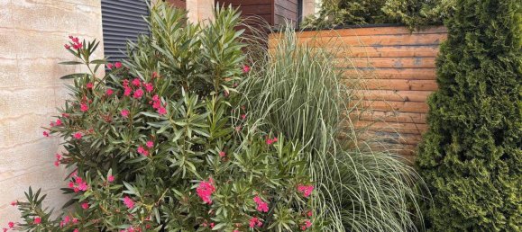 3 chambres Maison de ville à Mannersdorf am Leithagebirge, Austria No. 205996 2