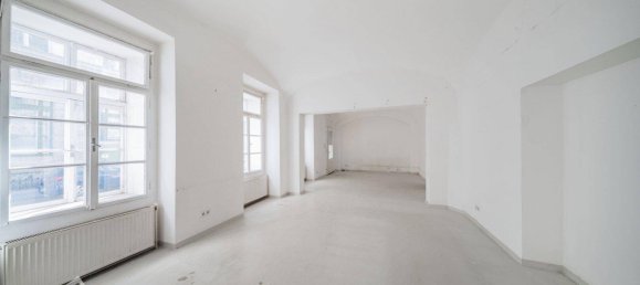 2-Zimmer Gewerbliche Immobilie in Neubau, Austria, Nr. 224791 4