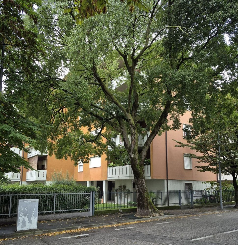 8 bedrooms Apartment in Padua, Italy No. 398011