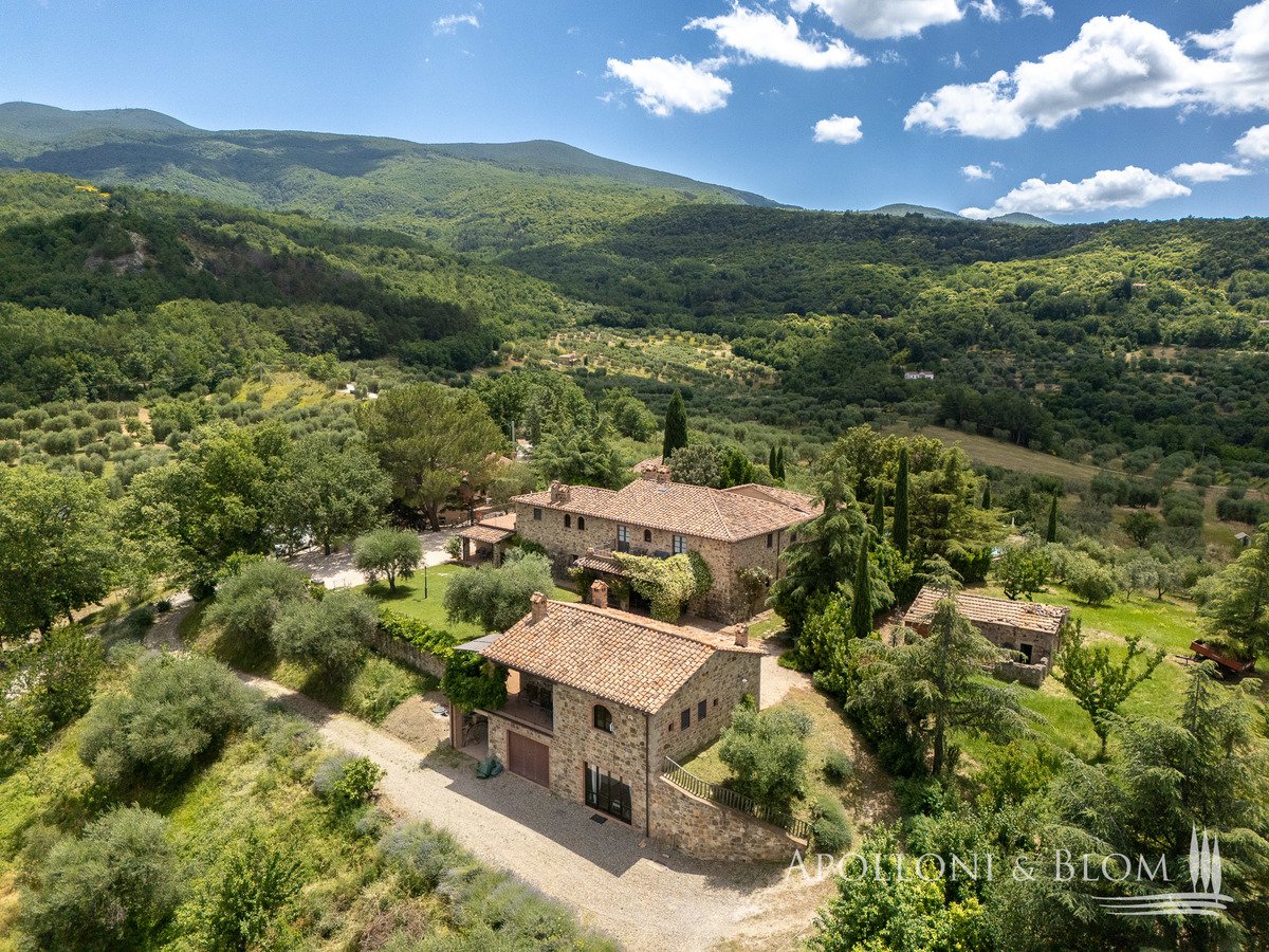 12 bedrooms Villa in Seggiano, Italy No. 57097