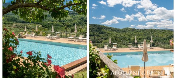 12 bedrooms Villa in Seggiano, Italy No. 57097 4