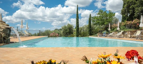 12 bedrooms Villa in Seggiano, Italy No. 57097 11