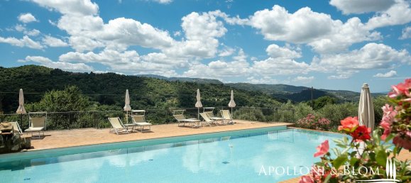 12 bedrooms Villa in Seggiano, Italy No. 57097 9