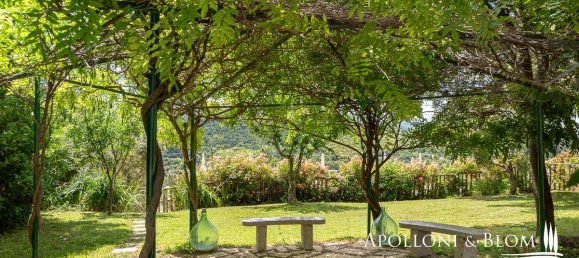 12 bedrooms Villa in Seggiano, Italy No. 57097 26