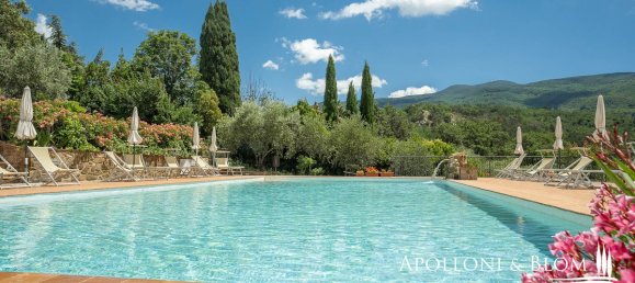 12 bedrooms Villa in Seggiano, Italy No. 57097 10